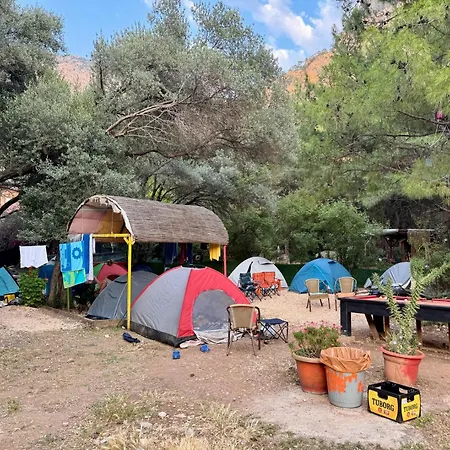 Lilith Pan Camping *